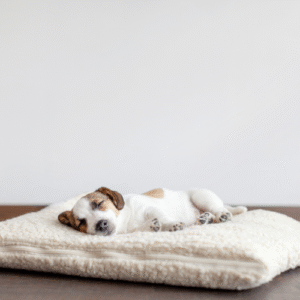 CozyCloud Orthopedic Dog Bed – Large